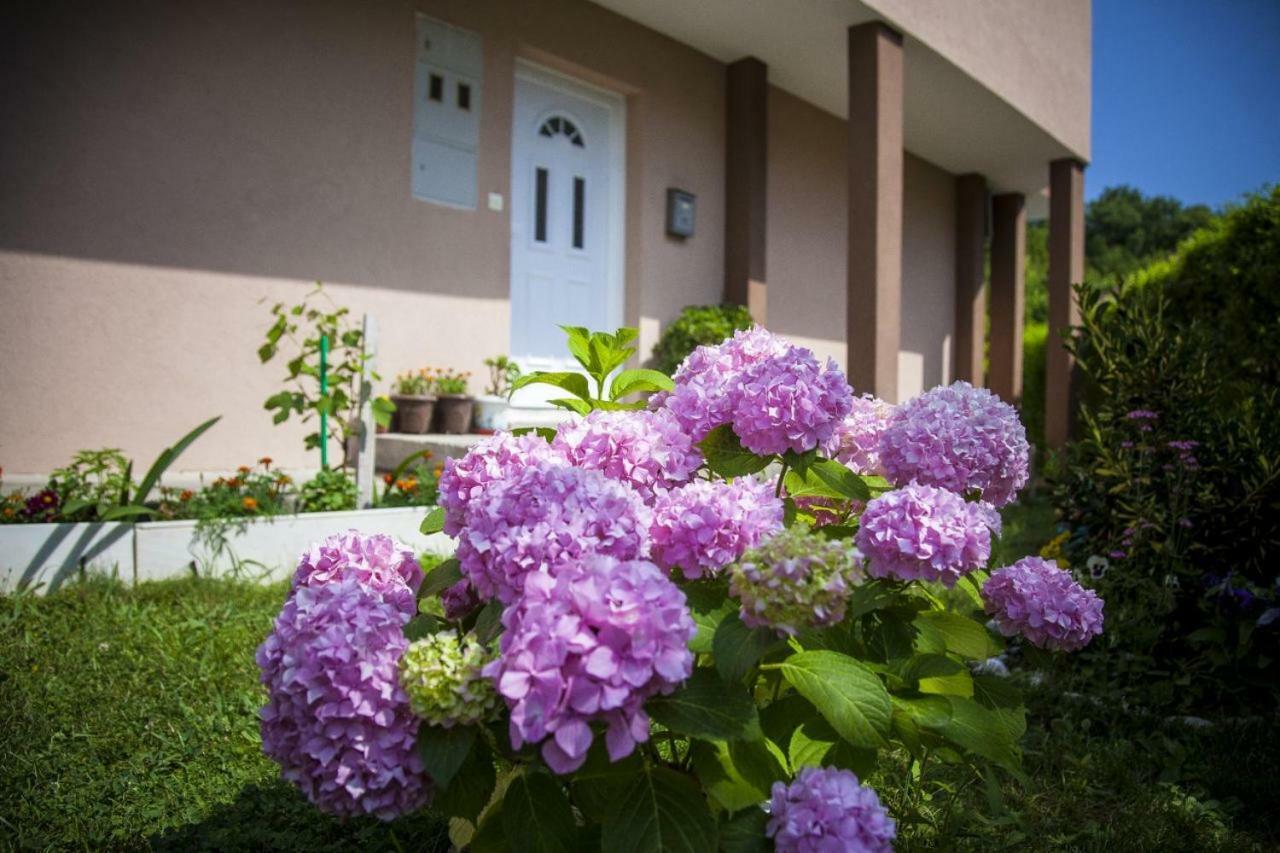 Kuca Bulajic Apartment Budva Exterior photo